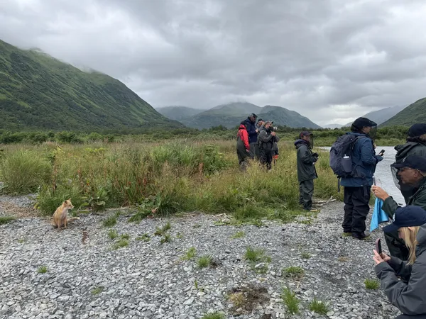 Watching a fox from the trail